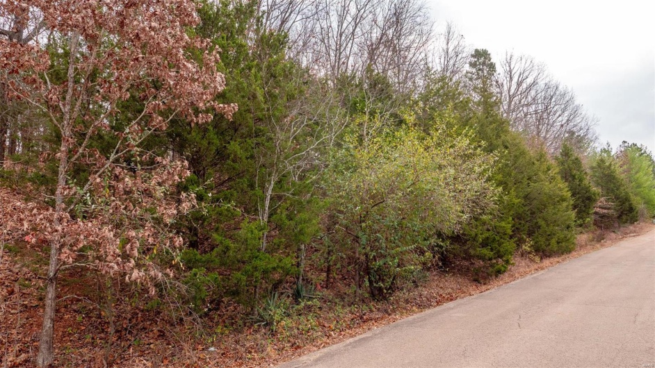 0 Rue Marseille, Bonne Terre, Missouri 63628, ,Land,For Sale,Rue Marseille,MAR24073727