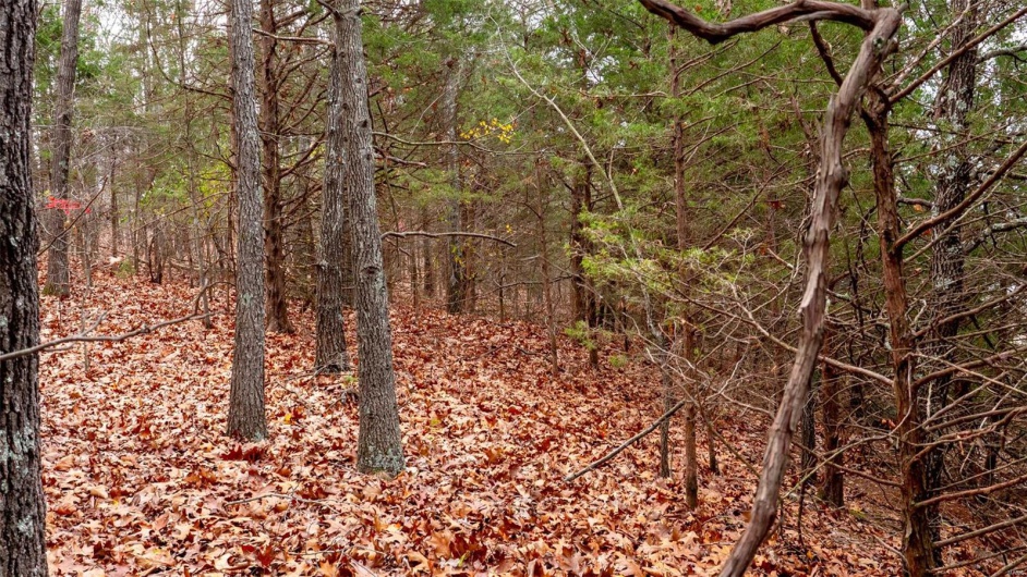 0 Rue Marseille, Bonne Terre, Missouri 63628, ,Land,For Sale,Rue Marseille,MAR24073727