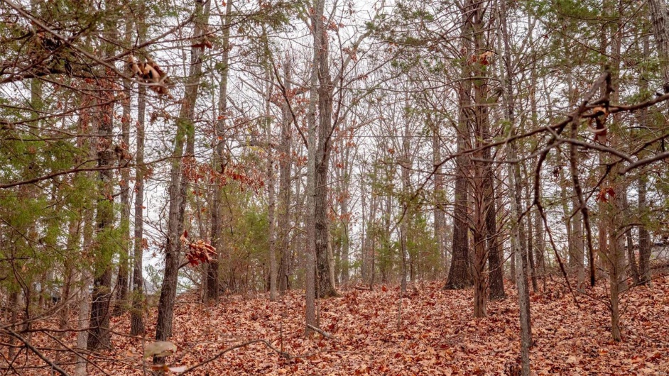 0 Rue Marseille, Bonne Terre, Missouri 63628, ,Land,For Sale,Rue Marseille,MAR24073727
