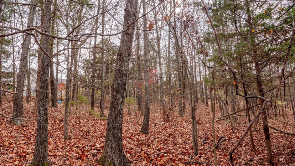 0 Rue Marseille, Bonne Terre, Missouri 63628, ,Land,For Sale,Rue Marseille,MAR24073727