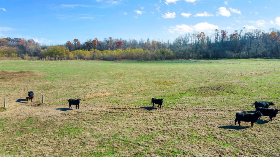 View of yard featuring a rural view