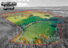 1438 County Road 535, Jackson, Missouri 63755, 2 Bedrooms Bedrooms, 4 Rooms Rooms,1 BathroomBathrooms,Farm,For Sale,County Road 535,MAR24072937