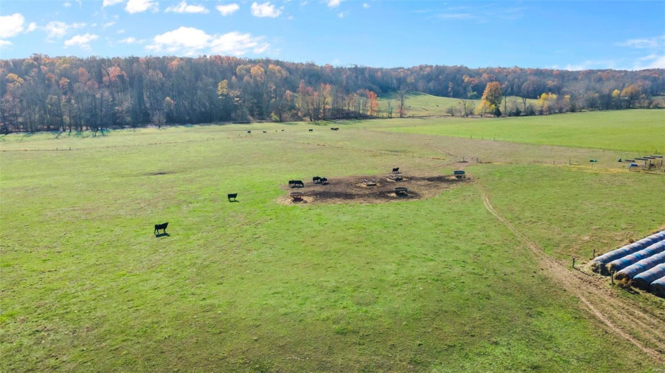 Drone / aerial view with a rural view