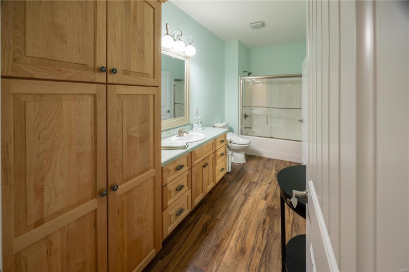 Full bathroom in lower level with shower/bath combination, LVP flooring, vanity, cabinetry, and toilet.