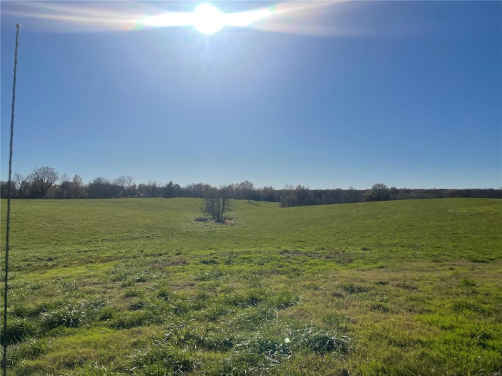 View of local wilderness with a rural view