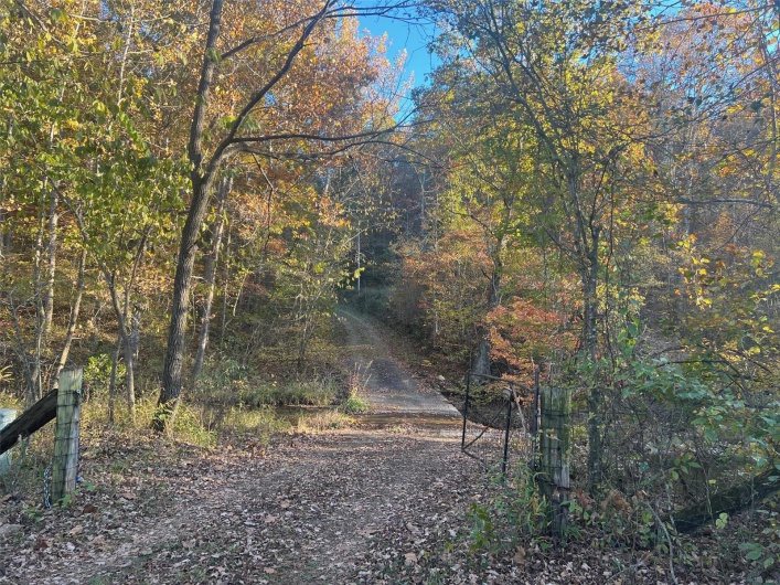 View of nature