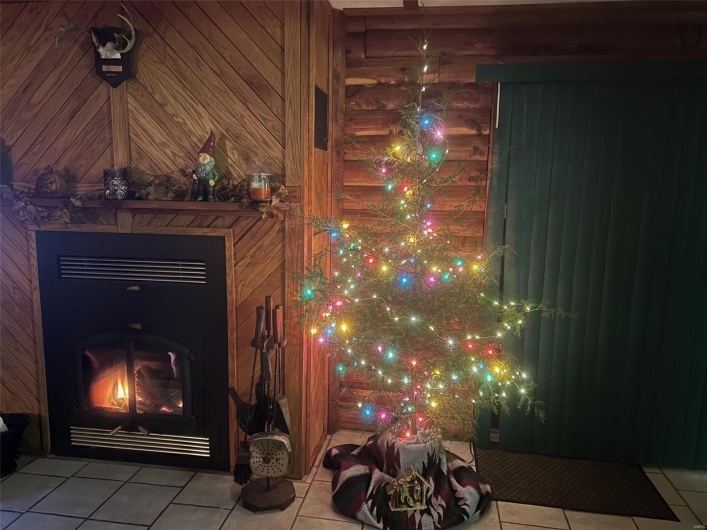 Details with a fireplace and wood walls