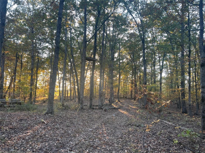 View of nature