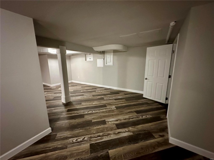 Basement featuring dark hardwood / wood-style flooring
