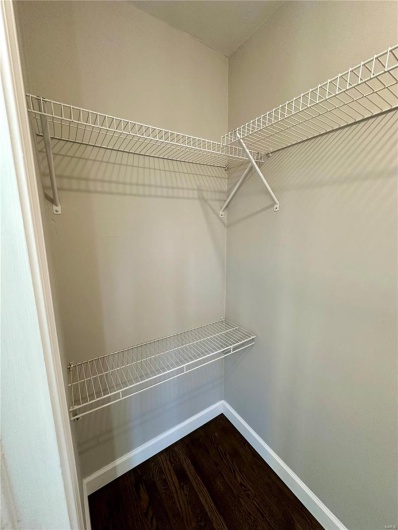 Walk in closet with wood-type flooring