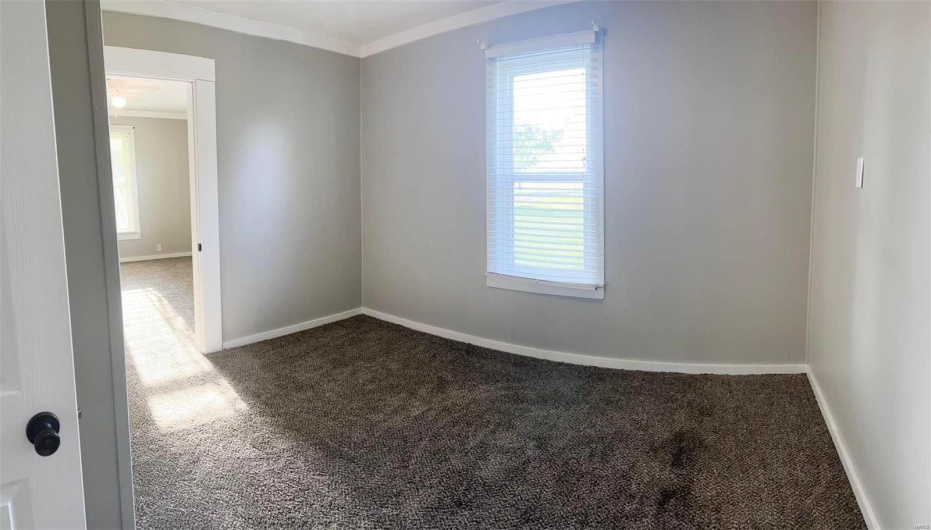 Carpeted spare room with crown molding