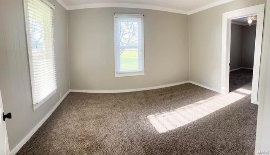 Spare room featuring crown molding and carpet floors