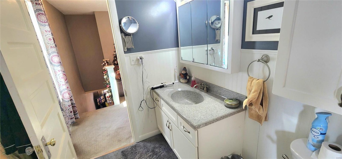 Bathroom with vanity and toilet
