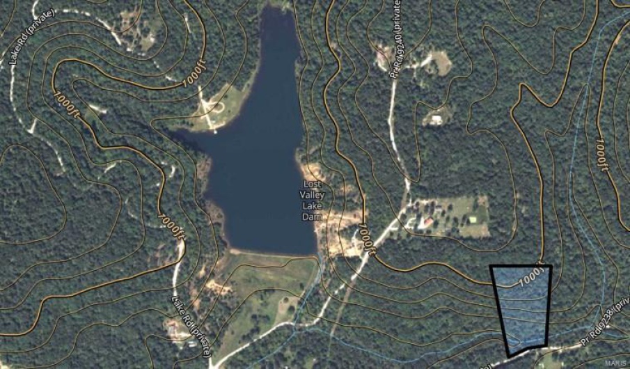 1 Private Road 9238, Fredericktown, Missouri 63645, ,Farm,For Sale,Private Road 9238,MAR24057959