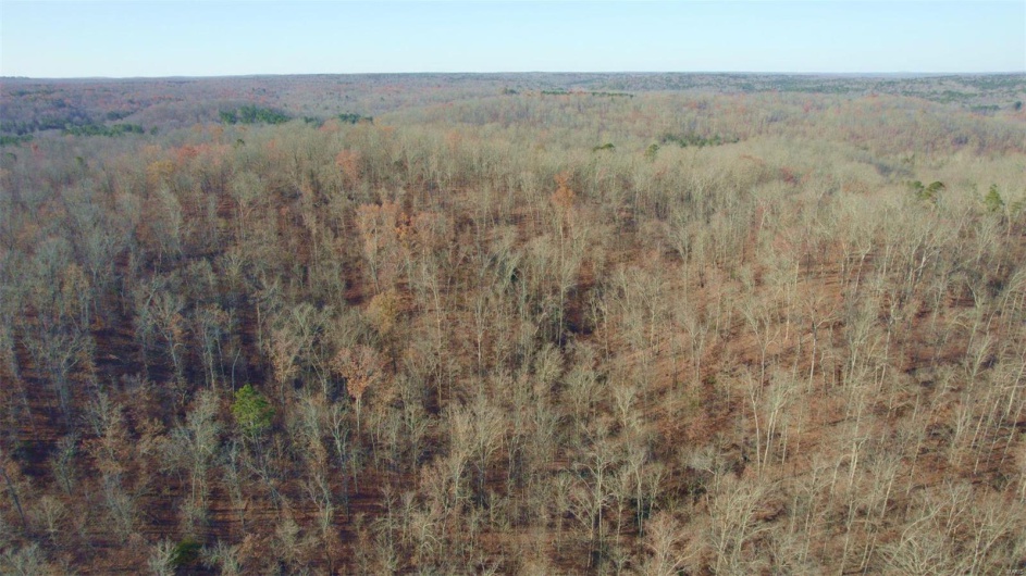 3498 State Highway E, Zalma, Missouri 63787, ,Farm,For Sale,State Highway E,MAR24075394