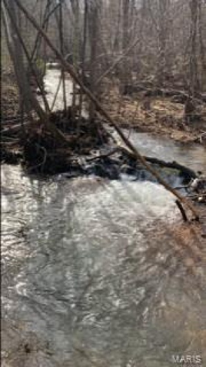 3498 State Highway E, Zalma, Missouri 63787, ,Farm,For Sale,State Highway E,MAR24075394