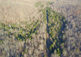 3498 State Highway E, Zalma, Missouri 63787, ,Farm,For Sale,State Highway E,MAR24075394