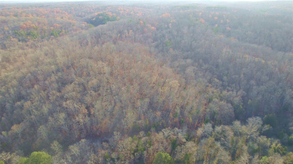 3498 State Highway E, Zalma, Missouri 63787, ,Farm,For Sale,State Highway E,MAR24075394
