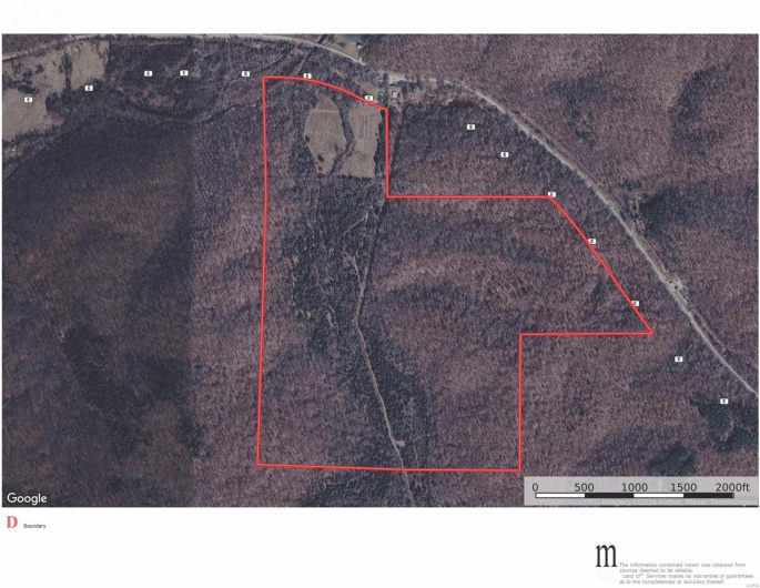 3498 State Highway E, Zalma, Missouri 63787, ,Farm,For Sale,State Highway E,MAR24075394
