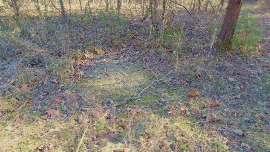 3498 State Highway E, Zalma, Missouri 63787, ,Farm,For Sale,State Highway E,MAR24075394
