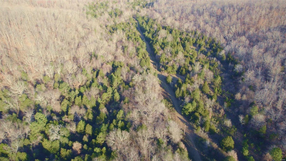 3498 State Highway E, Zalma, Missouri 63787, ,Farm,For Sale,State Highway E,MAR24075394