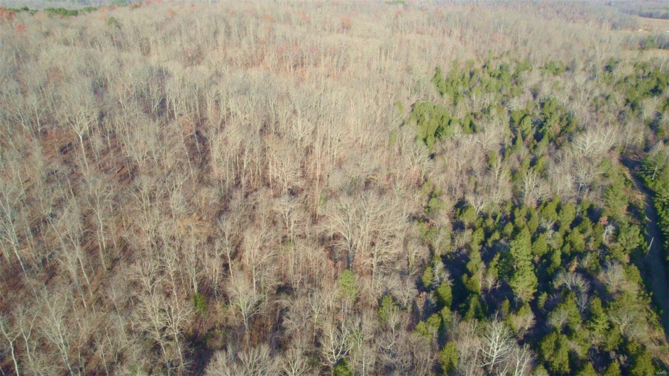 3498 State Highway E, Zalma, Missouri 63787, ,Farm,For Sale,State Highway E,MAR24075394