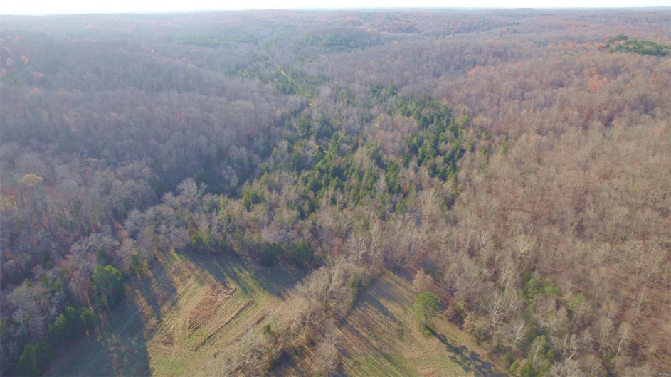 3498 State Highway E, Zalma, Missouri 63787, ,Farm,For Sale,State Highway E,MAR24075394