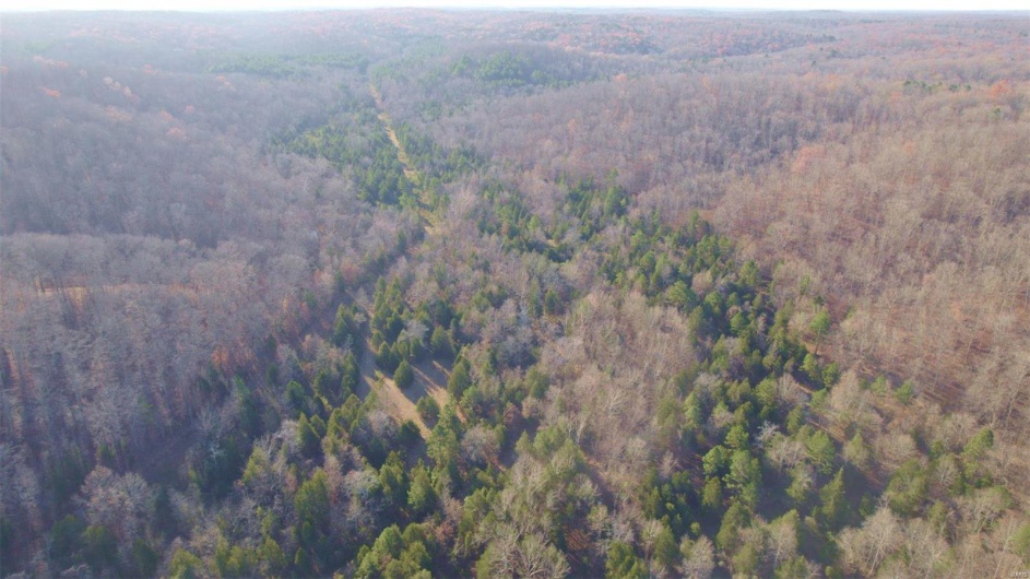 3498 State Highway E, Zalma, Missouri 63787, ,Farm,For Sale,State Highway E,MAR24075394