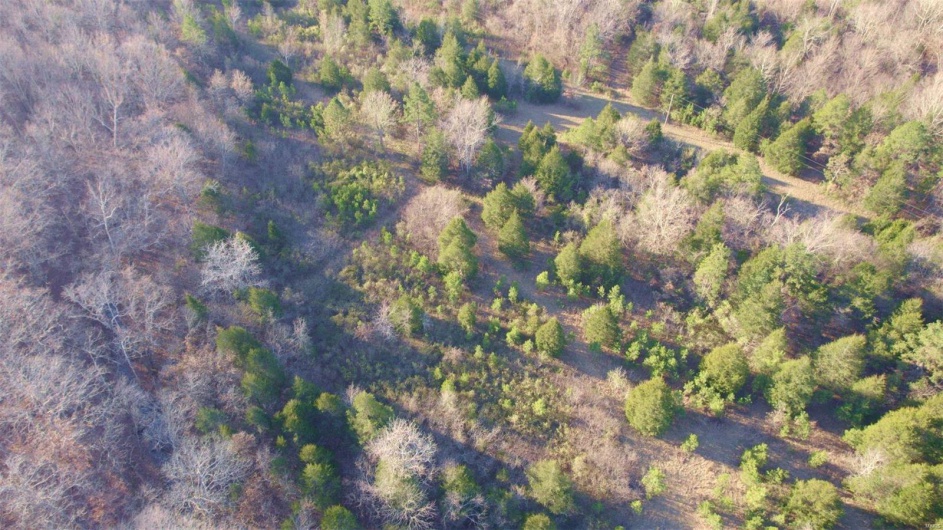 3498 State Highway E, Zalma, Missouri 63787, ,Farm,For Sale,State Highway E,MAR24075394
