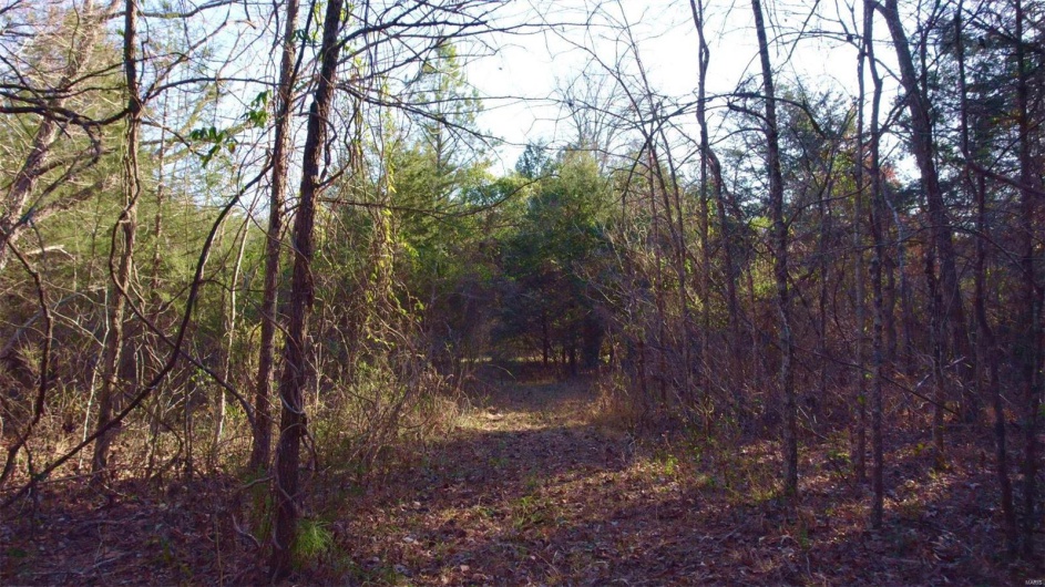 3498 State Highway E, Zalma, Missouri 63787, ,Farm,For Sale,State Highway E,MAR24075394