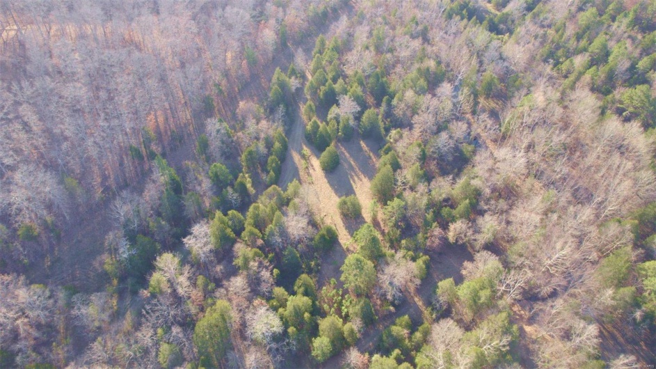 3498 State Highway E, Zalma, Missouri 63787, ,Farm,For Sale,State Highway E,MAR24075394