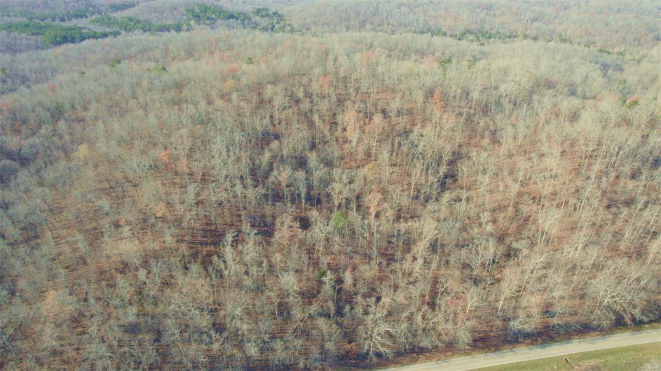 3498 State Highway E, Zalma, Missouri 63787, ,Farm,For Sale,State Highway E,MAR24075394