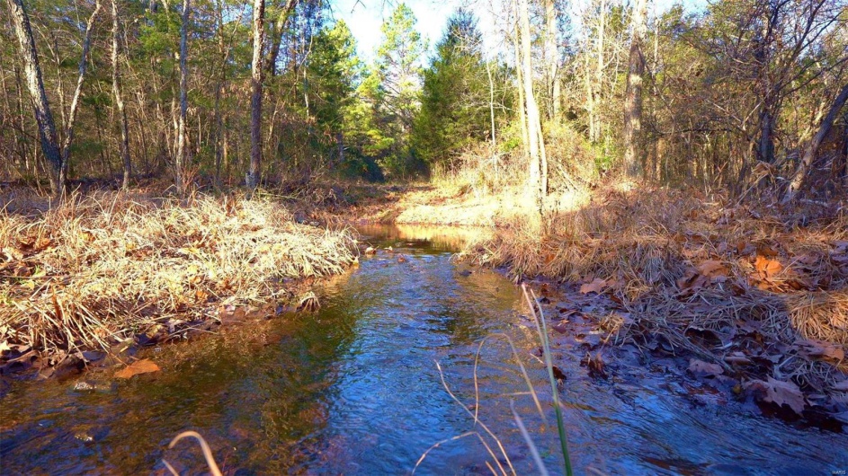 3498 State Highway E, Zalma, Missouri 63787, ,Farm,For Sale,State Highway E,MAR24075394