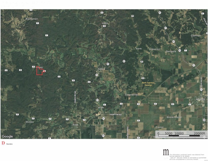 3498 State Highway E, Zalma, Missouri 63787, ,Farm,For Sale,State Highway E,MAR24075394