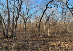 5267 Whittaker Road, French Village, Missouri 63036, ,Farm,For Sale,Whittaker,MAR24075448