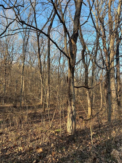 View of nature