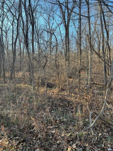 View of nature