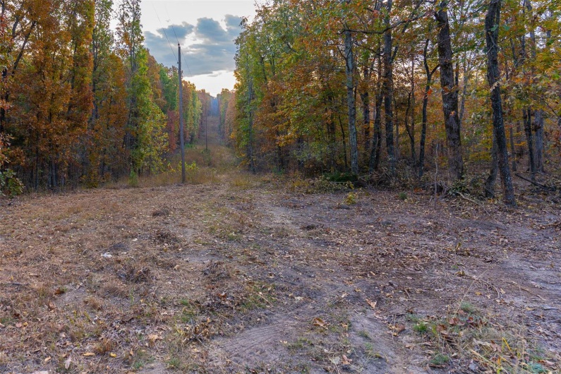 0 Highway JJ (Tract 9), Marquand, Missouri 63655, ,Land,For Sale,Highway JJ (Tract 9),MAR24075582
