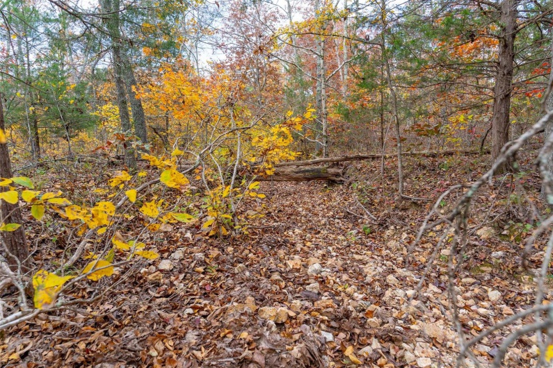 0 Highway JJ (Tract 9), Marquand, Missouri 63655, ,Land,For Sale,Highway JJ (Tract 9),MAR24075582