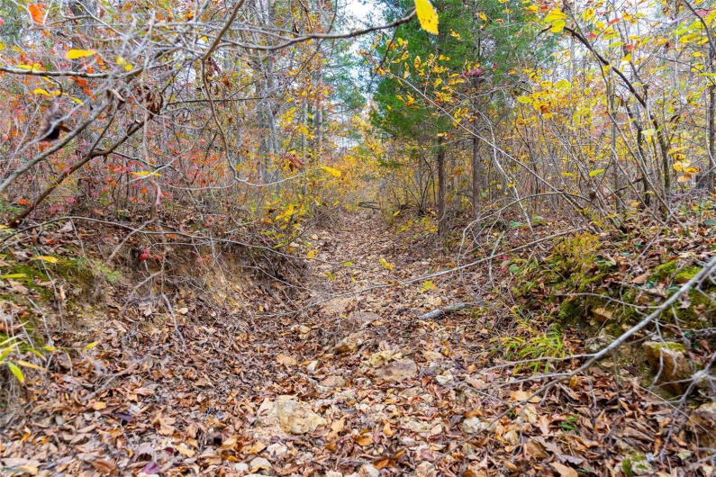 0 Highway JJ (Tract 9), Marquand, Missouri 63655, ,Land,For Sale,Highway JJ (Tract 9),MAR24075582