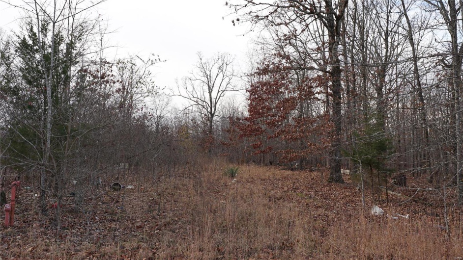 1 Hoeltzle Rd, Wappapello, Missouri 63966, ,Farm,For Sale,Hoeltzle Rd,MAR24075560
