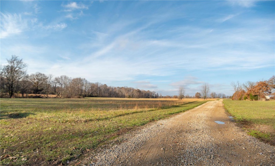 16639 County Road 420, Bloomfield, Missouri 63825, 2 Bedrooms Bedrooms, 5 Rooms Rooms,1 BathroomBathrooms,Farm,For Sale,County Road 420,MAR24076353