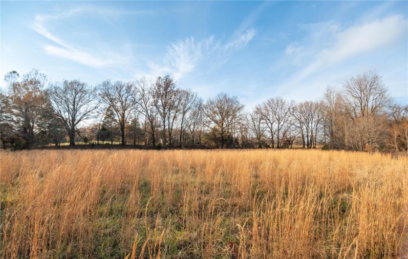 16639 County Road 420, Bloomfield, Missouri 63825, 2 Bedrooms Bedrooms, 5 Rooms Rooms,1 BathroomBathrooms,Farm,For Sale,County Road 420,MAR24076353