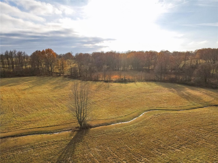 16639 County Road 420, Bloomfield, Missouri 63825, 2 Bedrooms Bedrooms, 5 Rooms Rooms,1 BathroomBathrooms,Farm,For Sale,County Road 420,MAR24076353