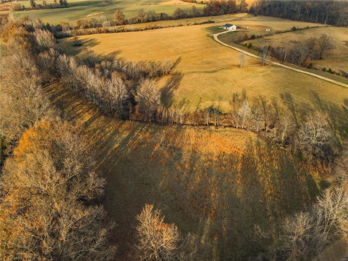 16639 County Road 420, Bloomfield, Missouri 63825, 2 Bedrooms Bedrooms, 5 Rooms Rooms,1 BathroomBathrooms,Farm,For Sale,County Road 420,MAR24076353