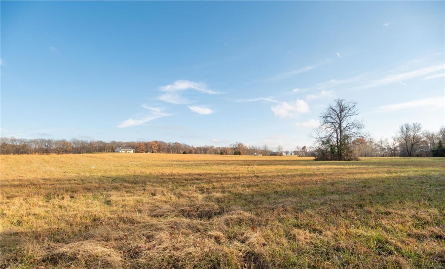 16639 County Road 420, Bloomfield, Missouri 63825, 2 Bedrooms Bedrooms, 5 Rooms Rooms,1 BathroomBathrooms,Farm,For Sale,County Road 420,MAR24076353