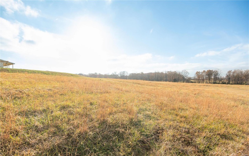 16639 County Road 420, Bloomfield, Missouri 63825, 2 Bedrooms Bedrooms, 5 Rooms Rooms,1 BathroomBathrooms,Farm,For Sale,County Road 420,MAR24076353