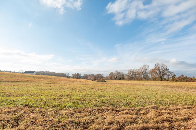 16639 County Road 420, Bloomfield, Missouri 63825, 2 Bedrooms Bedrooms, 5 Rooms Rooms,1 BathroomBathrooms,Farm,For Sale,County Road 420,MAR24076353