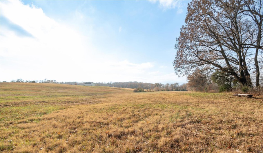 16639 County Road 420, Bloomfield, Missouri 63825, 2 Bedrooms Bedrooms, 5 Rooms Rooms,1 BathroomBathrooms,Farm,For Sale,County Road 420,MAR24076353