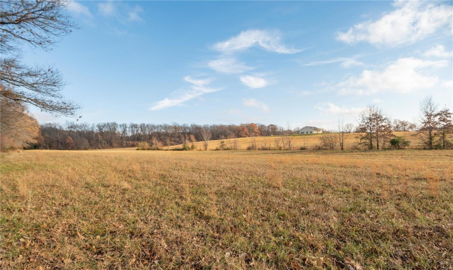 16639 County Road 420, Bloomfield, Missouri 63825, 2 Bedrooms Bedrooms, 5 Rooms Rooms,1 BathroomBathrooms,Farm,For Sale,County Road 420,MAR24076353